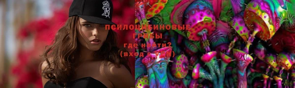 прущий лед Богданович