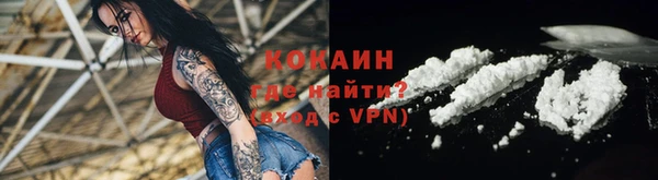 прущий лед Богданович