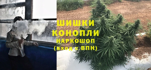 a pvp Бородино