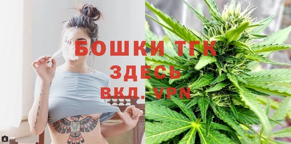 ALPHA PVP Богородицк